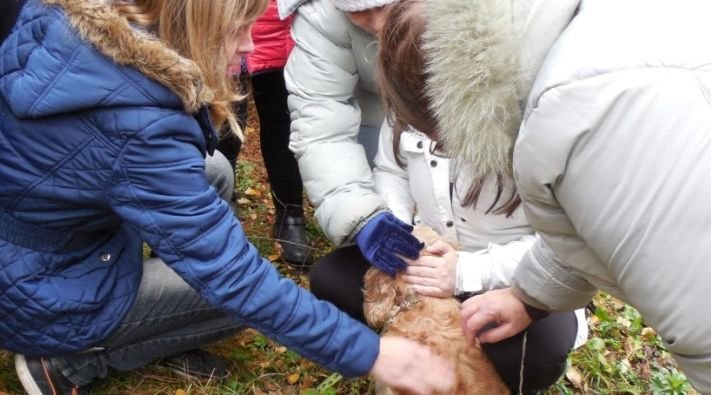 Прикарпатській молоді з інвалідністю влаштували реабілітацію з тваринами у звіринцях
