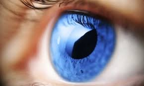 6 березня - Всесвітній день боротьби з глаукомою