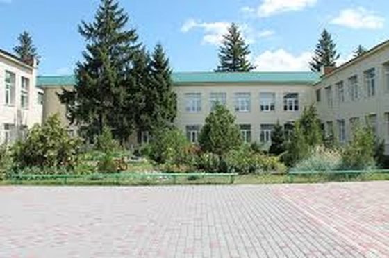 З першого вересня 2017 року в області розпочне діяльність Кобеляцький навчально-реабілітаційний центр Полтавської обласної ради