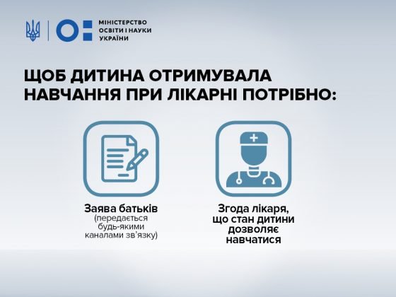 В Україні з’явився механізм, який уже з 2019 року дозволить навчатися при лікарні кожній дитині, яка цього потребуватиме, – передбачено 12 млн грн