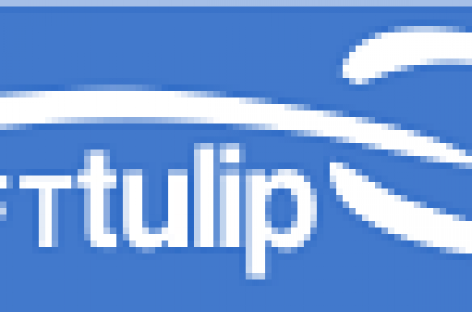 Візит представників Міжнародної організації надавачів послуг SOFT Tulip