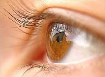 Раннє виявлення глаукоми – першочергова можливість запобігти сліпоті