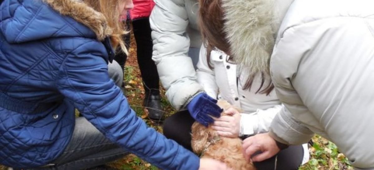 Прикарпатській молоді з інвалідністю влаштували реабілітацію з тваринами у звіринцях