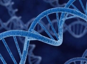 Рак виліковний: вчені виявили 23 гени, які контролюють поширення злоякісних пухлин