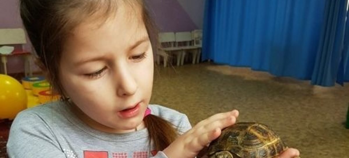 На Волині дітей з інвалідністю лікують за допомогою тварин