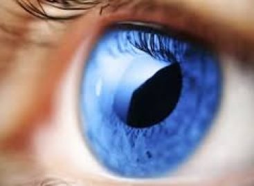 6 березня – Всесвітній день боротьби з глаукомою