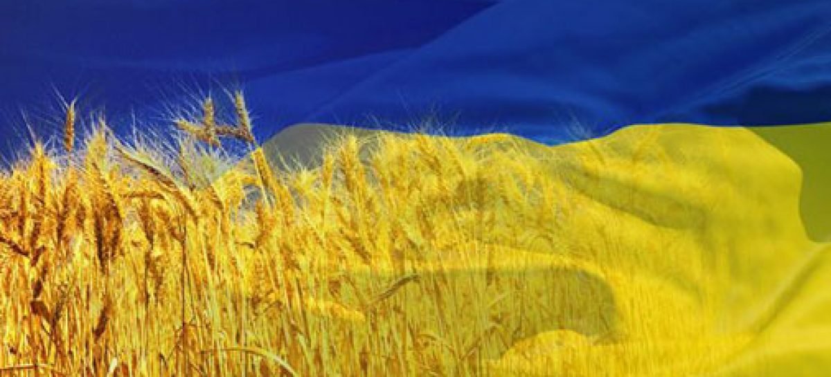 Новини Дефлімпіади: 4 високі нагороди у вранішньому доробку українських дефлімпійців