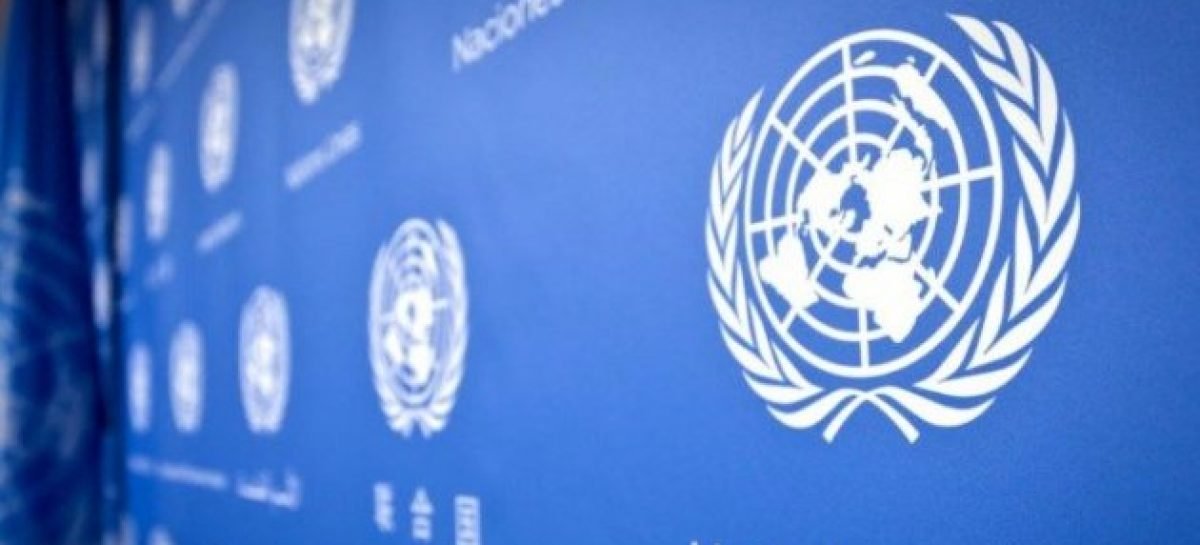 Програма Розвитку Організації Об’єднаних Націй відкрила нову вакансію