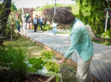 В Киеве появится тактильный сад для людей с инвалидностью