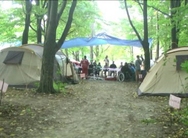 У лісі під Вінницею облаштували наметовий табір для молоді на візках