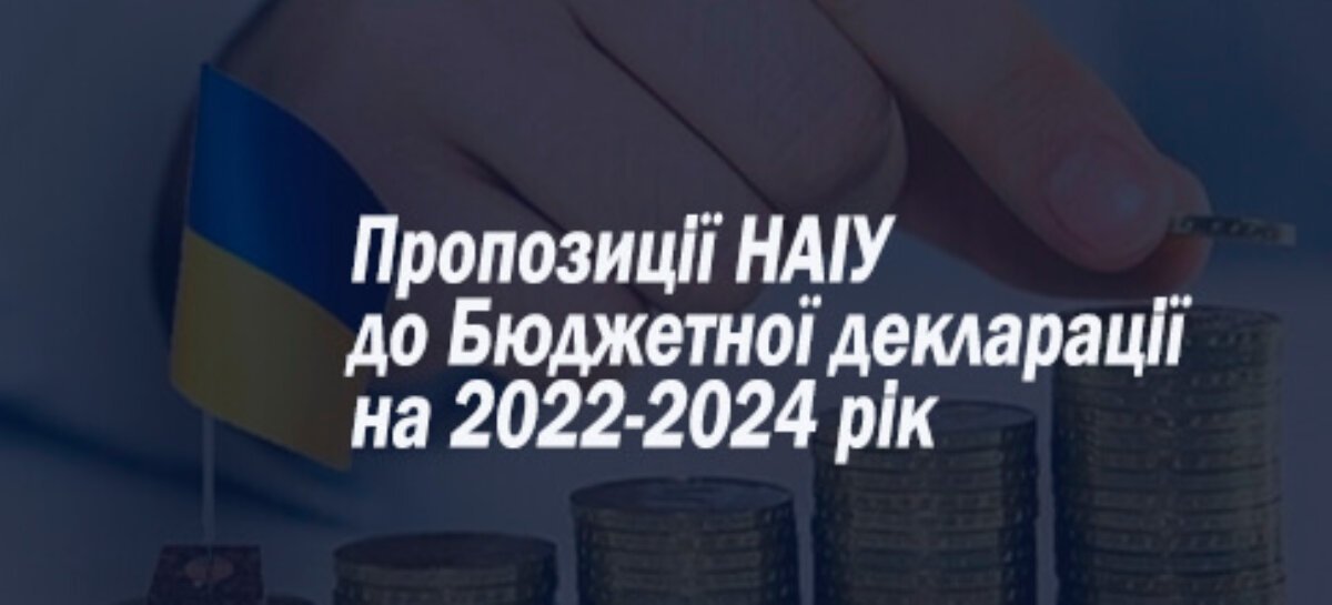 Пропозиції НАІУ до Бюджетної декларації на 2022-2024 рік
