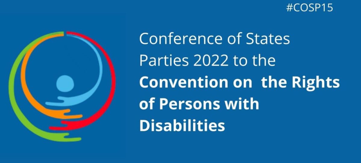 New disability experts, Ukraine: highlights of the UN conference on disability