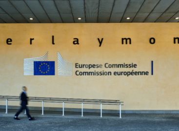 Рекомендації Європейської Комісії щодо виборчих прав осіб з інвалідністю